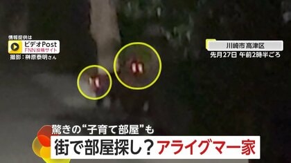 「え！？子グマがいる？」川崎市で暗闇の中に“光る目”…正体は「アライグマ」　 アメリカでは“ストーブ暮らし”のアライグマ一家も