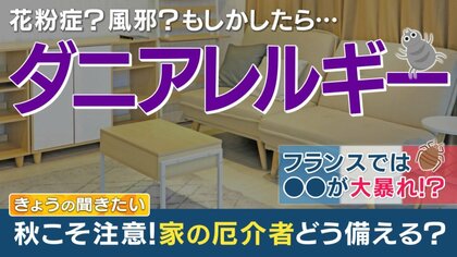 秋こそ「ダニ」に要注意　「ホコリ」1グラムに3000匹も…国内で被害件数増加中　対策を“ダニ博士”に聞いた