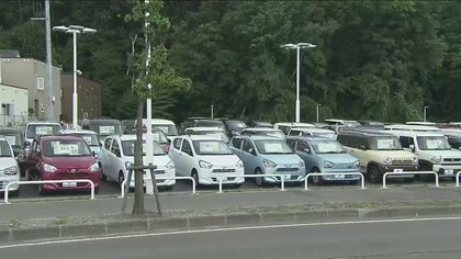 【独自】札幌市でも街路樹枯れる…「ビッグモーター」複数の店舗前で確認　市が警察に相談