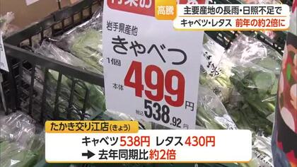 キャベツ・レタスなど葉物野菜の価格約2倍に…主要産地の長雨・日照不足で　山形