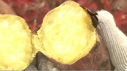 熱々ホクホク…街の焼き芋屋さん「子どもたちの冬の思い出に」【動画】