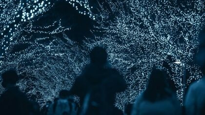 夜の世界を光で彩るイルミネーションについて大調査！【1000人アンケート】