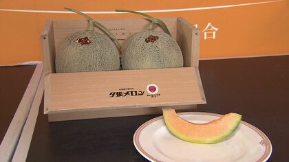 『夕張メロン』地元の初競りで過去最高値2玉50万円！札幌での史上最高値“580万円”に続き地元でもご祝儀価格＿メロンは5月30日31日に市内で振る舞われる予定〈北海道夕張市〉