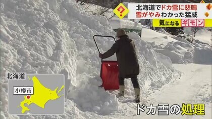 “ドカ雪”に悲鳴　留萌市では積雪“2メートル”超　小樽では死亡事故も…落雪に巻き込まれたか　北海道