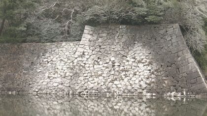 石垣などが真っ白に…名古屋城周辺で大量の“カワウのフン”による被害 近隣住民は「3日に1回くらい洗車」