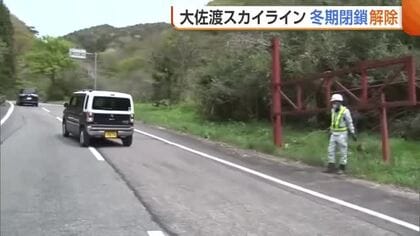 『大佐渡スカイライン』冬期閉鎖を解除「佐渡の絶景見て」 雪割草やタンポポも春の訪れを歓迎！