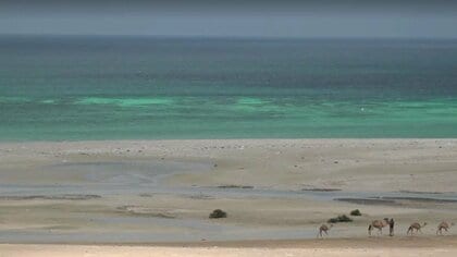 フーシ派がバーブルマンデブ海峡でも通航料徴収を検討　物流や原油輸送への影響懸念　ロイター