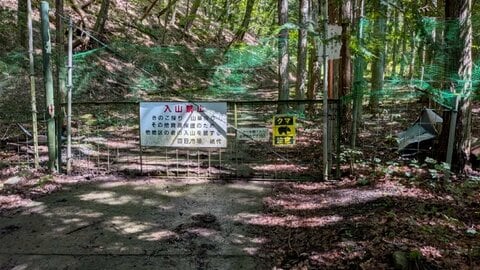 キノコ採りの男性がクマに襲われ“5分格闘”　顔と体ひっかかれ負傷も自力で下山　命に別状なし　長野・伊那市