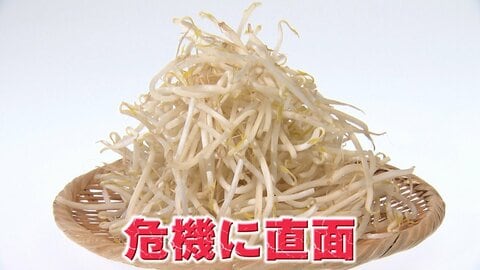 【危機】“家計の味方”もやしがピンチ！値上げ＆生産者減少のダブルパンチ　緊急アンケートで「もやしの購入限界価格」