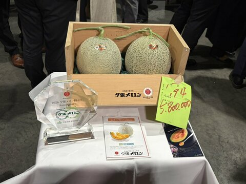 【速報】夕張メロンの初競り―これまでの“最高値580万円”のご祝儀価格！この後…東京の京王ストア桜ヶ丘店へ「出来上がりは上々」販売計画は数量3086トンを目標〈北海道の初夏の味覚〉