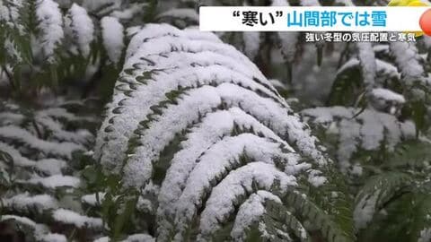 “寒い”山間部では雪　強い冬型の気圧配置と強い寒気　27日以降の寒さを山下気象予報士が解説　鹿児島