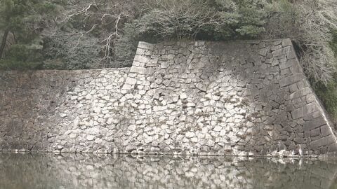 石垣などが真っ白に…名古屋城周辺で大量の“カワウのフン”による被害 近隣住民は「3日に1回くらい洗車」