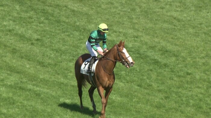 中山未勝利を制したサムシングスイート