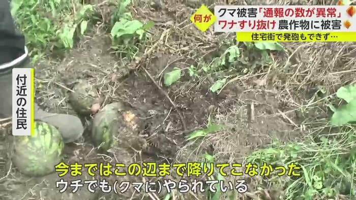 付近の住民は今まではこの辺まで降りてこなかったと語る