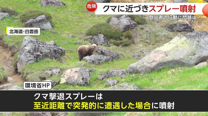 人間のほうを警戒している様子のクマ