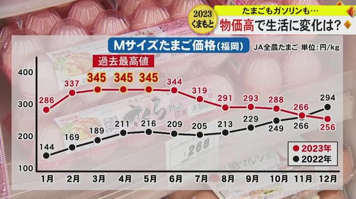 福岡でのMサイズたまごの価格(JA全農たまご)