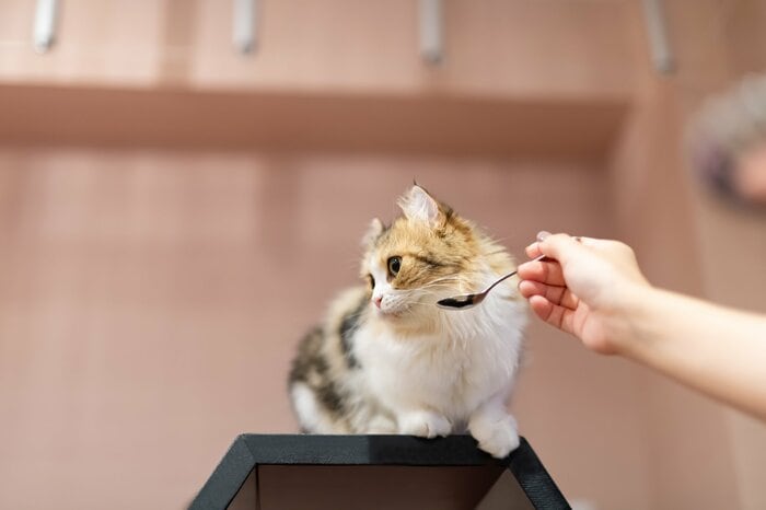 （イメージ）