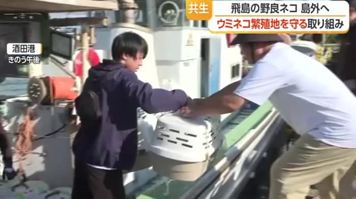 酒田港に到着し、次々と船から下ろされるネコのケージ