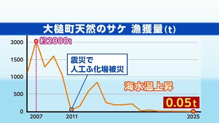 大槌町天然のサケ漁獲量