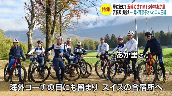 提供写真