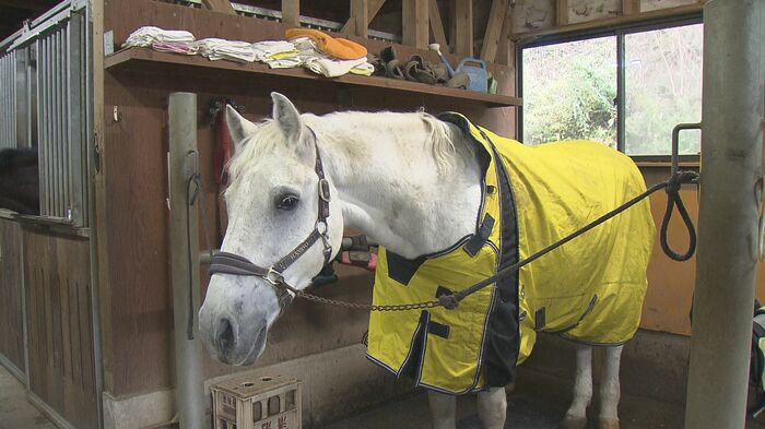 引退後を穏やかに過ごしている