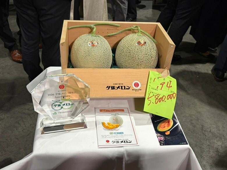 【速報】夕張メロンの初競り―これまでの“最高値580万円”のご祝儀価格！この後…東京の京王ストア桜ヶ丘店へ「出来上がりは上々」販売計画は数量3086トンを目標〈北海道の初夏の味覚〉｜FNNプライムオンライン