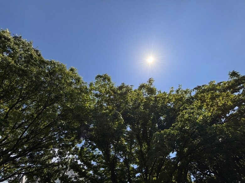 大分県内で2026年初の真夏日　日田市で30.4度を観測（午後1時時点）｜FNNプライムオンライン