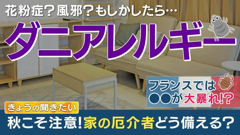 秋こそ「ダニ」に要注意　「ホコリ」1グラムに3000匹も…国内で被害件数増加中　対策を“ダニ博士”に聞いた｜FNNプライムオンライン