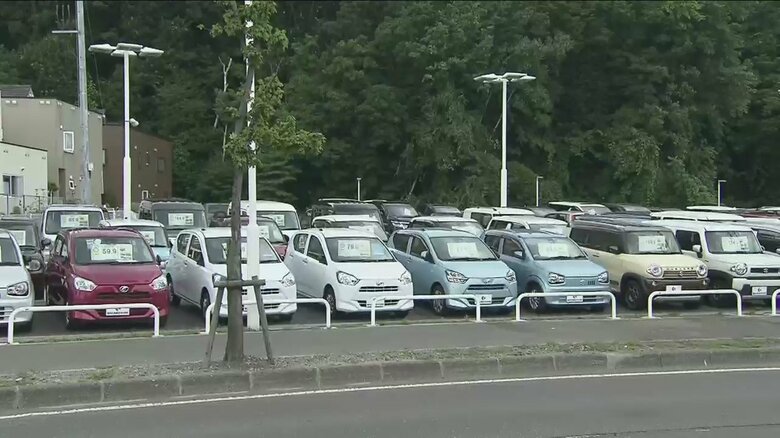 【独自】札幌市でも街路樹枯れる…「ビッグモーター」複数の店舗前で確認　市が警察に相談｜FNNプライムオンライン