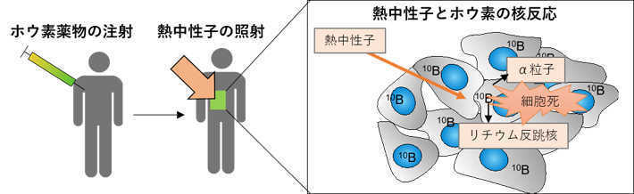 出典:東京工業大学