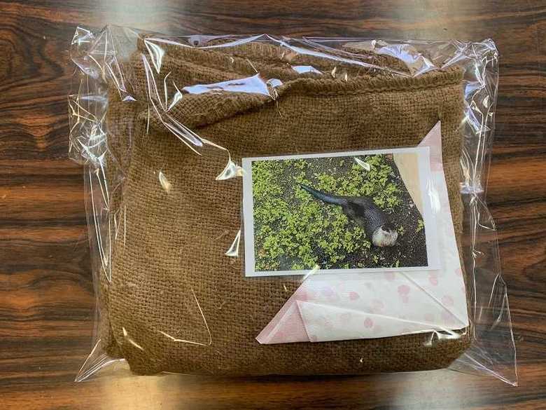 カナダカワウソが体を拭くのに使っている麻袋