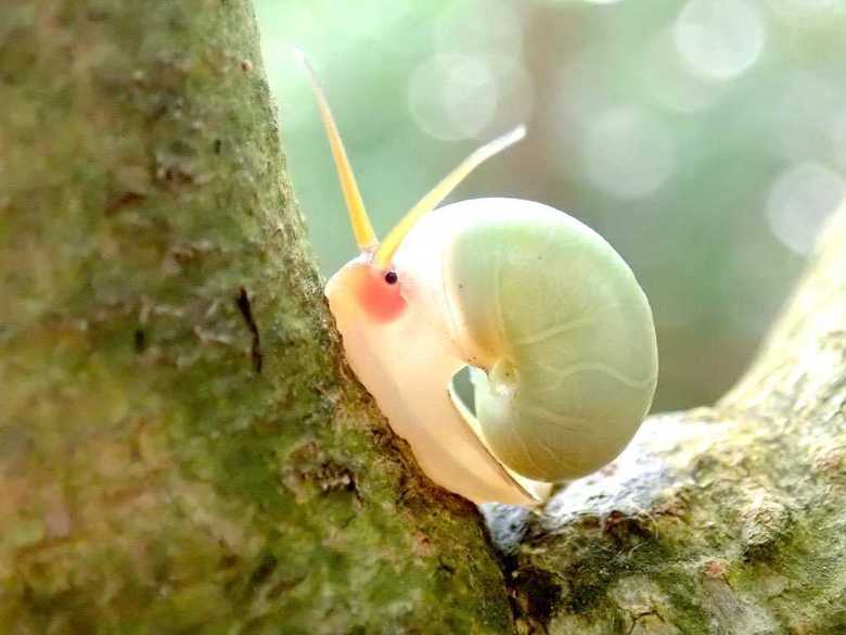真横から見ても、文句なしにかわいい