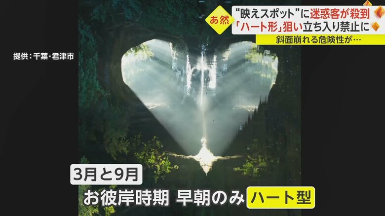 撮影した写真を90度横に倒しています