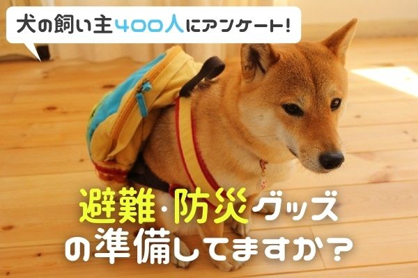 愛犬の防災・避難グッズ「準備してない人は85%以上!?」災害がおきたらどうやって避難する?【飼い主400人にアンケート】