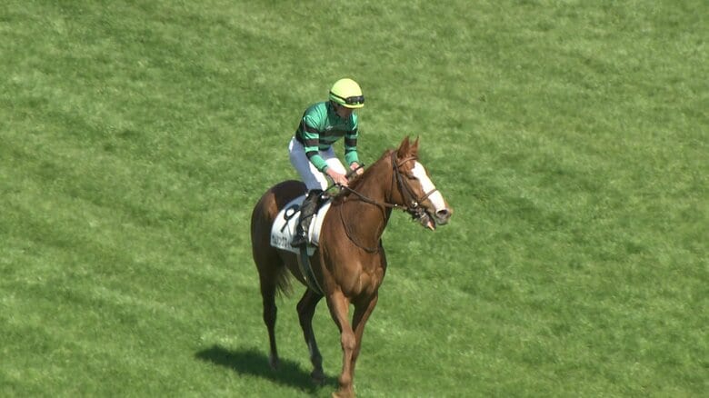 中山未勝利を制したサムシングスイート