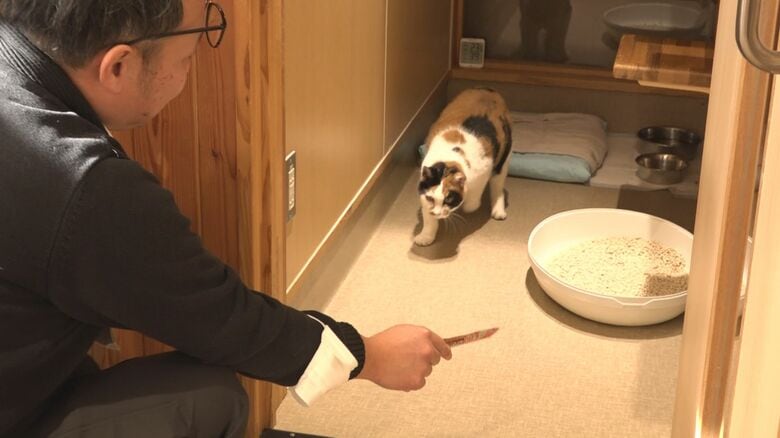 動物愛護センターの猫舎（長野市）