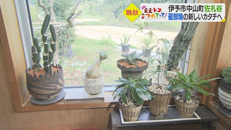 形もさまざまな植木鉢