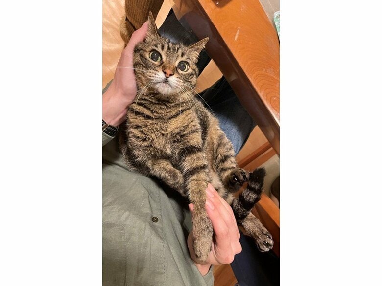 提供：えーさん