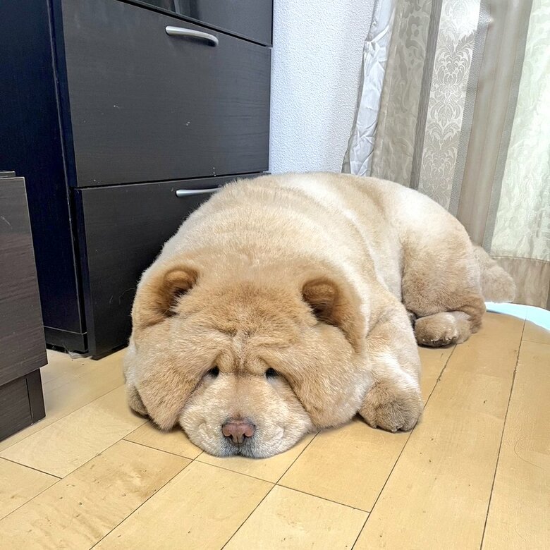 うめぼしみたいな表情…