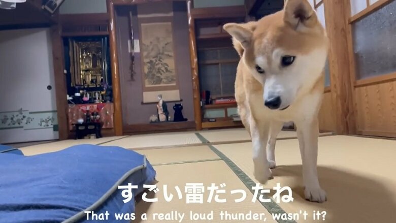 そこへももちゃんが登場