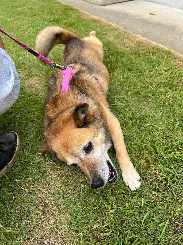 提供：タチバナさんの毎日ルーティン