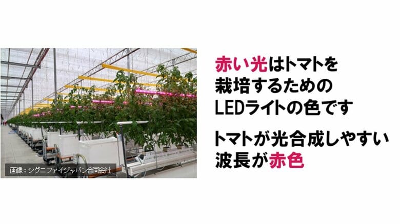 点灯するLEDライトの色が赤色だった