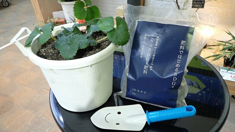 再生リンを使用した「こうべSDGs肥料」。12月20日から一般向けの販売を開始した（神戸市提供）