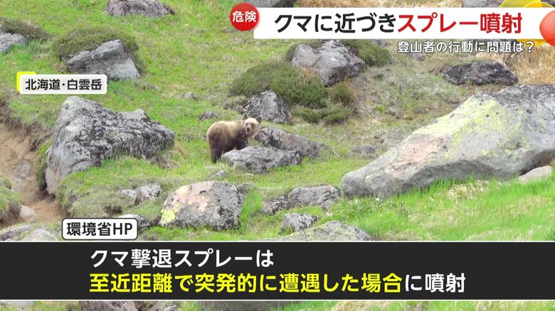 人間のほうを警戒している様子のクマ