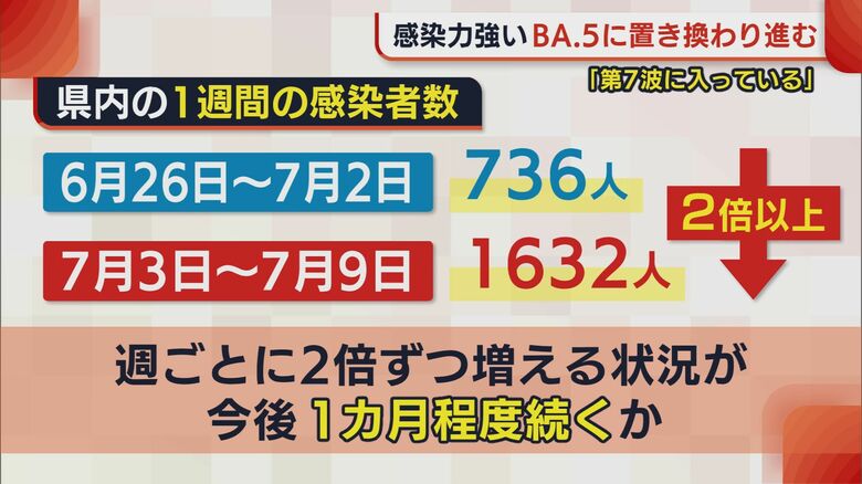 新潟県内の1週間の感染者数