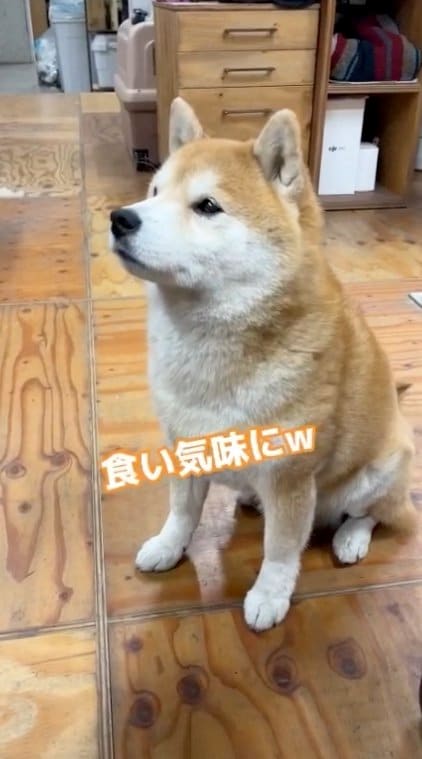 提供：エイトデザイン