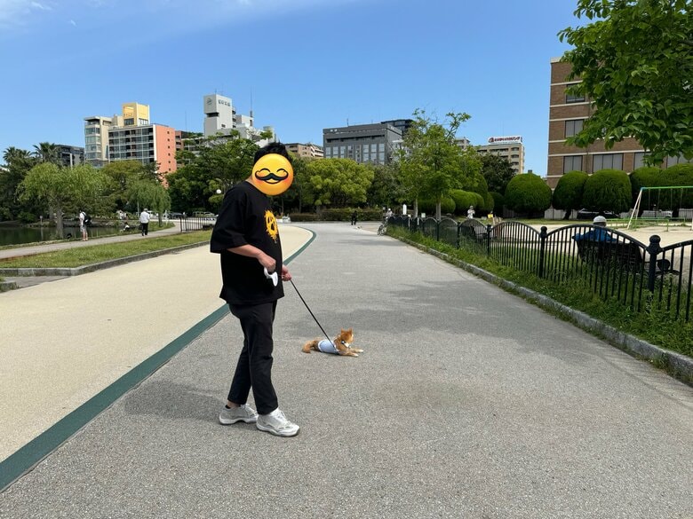 提供：わさび一族さん
