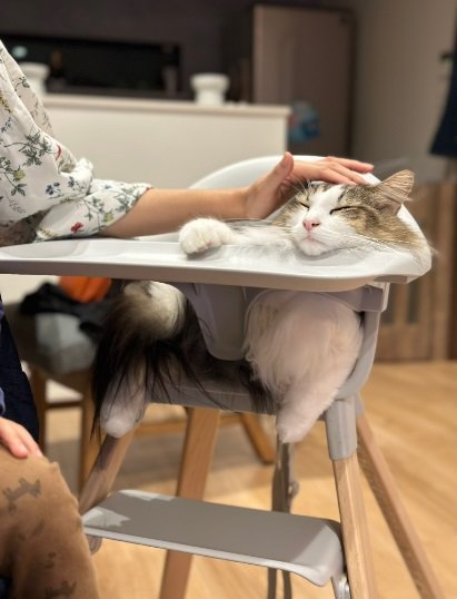 なでなでされてとろけるシィクくん