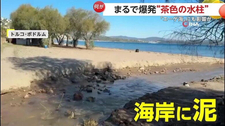 青い海が広がる美しい海岸にまで流れ込んだという泥
