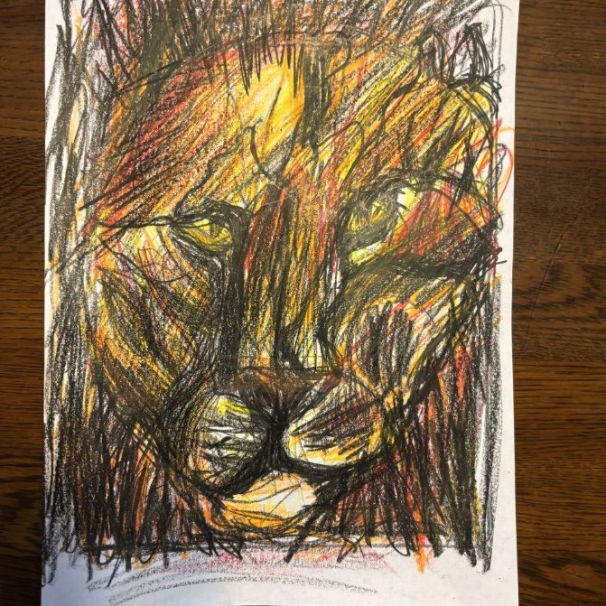 提供：櫻井京太郎さん